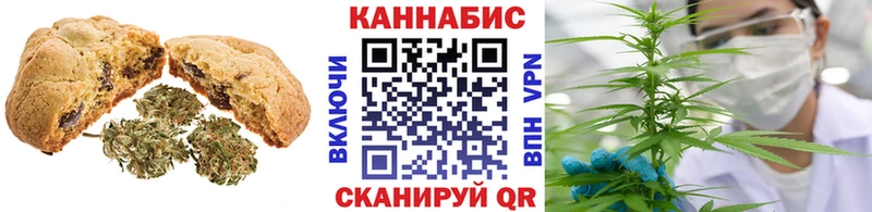закладки  Оленегорск  Cannafood конопля 